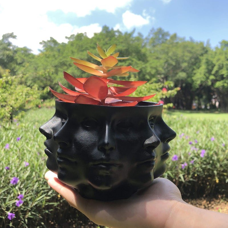 LuckyVin Multi-Face Succulent Planter Vase - Small Face Plant Head Home Decoration - Indoor Cactus Pot - Image 4